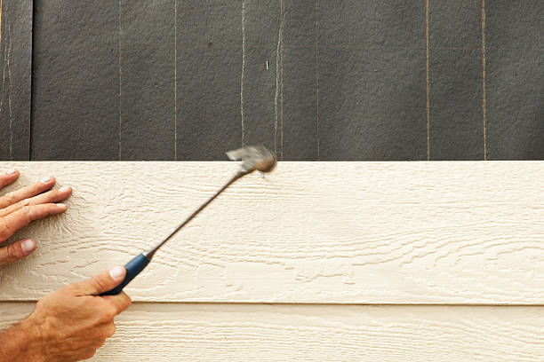 Best Siding for New Construction  in Sunnyside, GA
